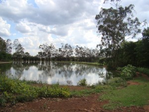 Vereador José Mendonça é a favor da construção de casas, mas longe de lagoas de estabilização