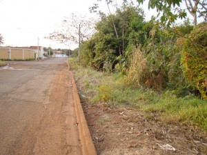 Avenida que devera receber o investimento